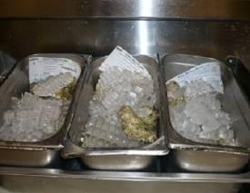 Three stainless steel trays filled with oysters on ice.